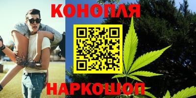 спиды Аргун