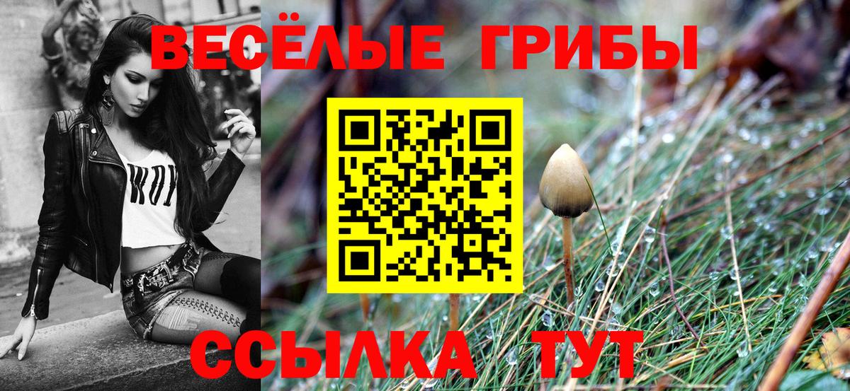 Псилоцибиновые грибы GOLDEN TEACHER Великий Устюг